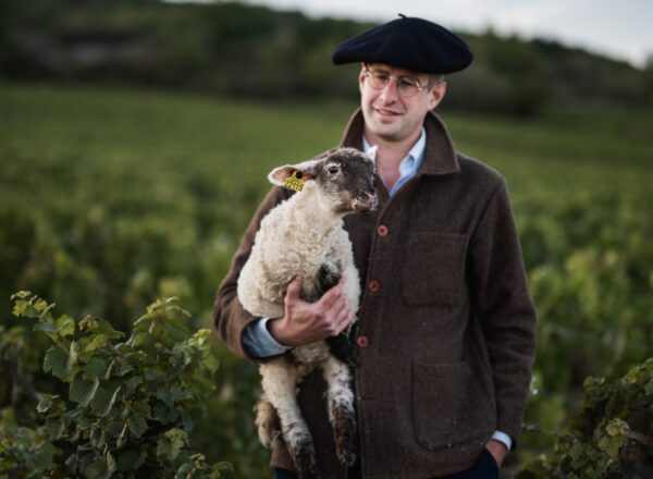 Armand Heitz dans ses vignes avec un agneau dans les bras