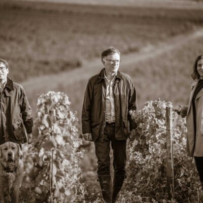 Martin, Vincent, et Kathleen Lordon dans les vignes de Saint-Sauveur à Vertus