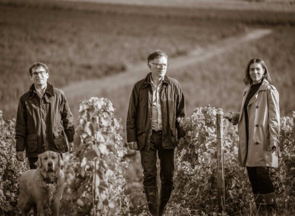 Martin, Vincent, et Kathleen Lordon dans les vignes de Saint-Sauveur à Vertus