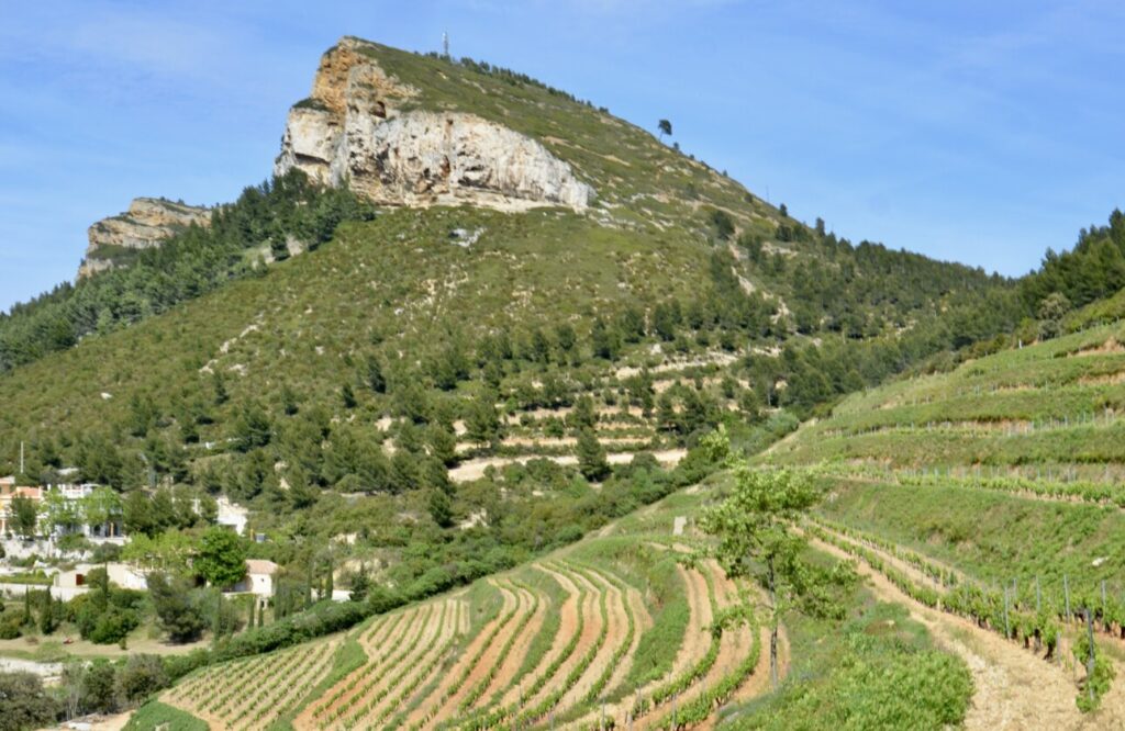 Vignoble de Cassis