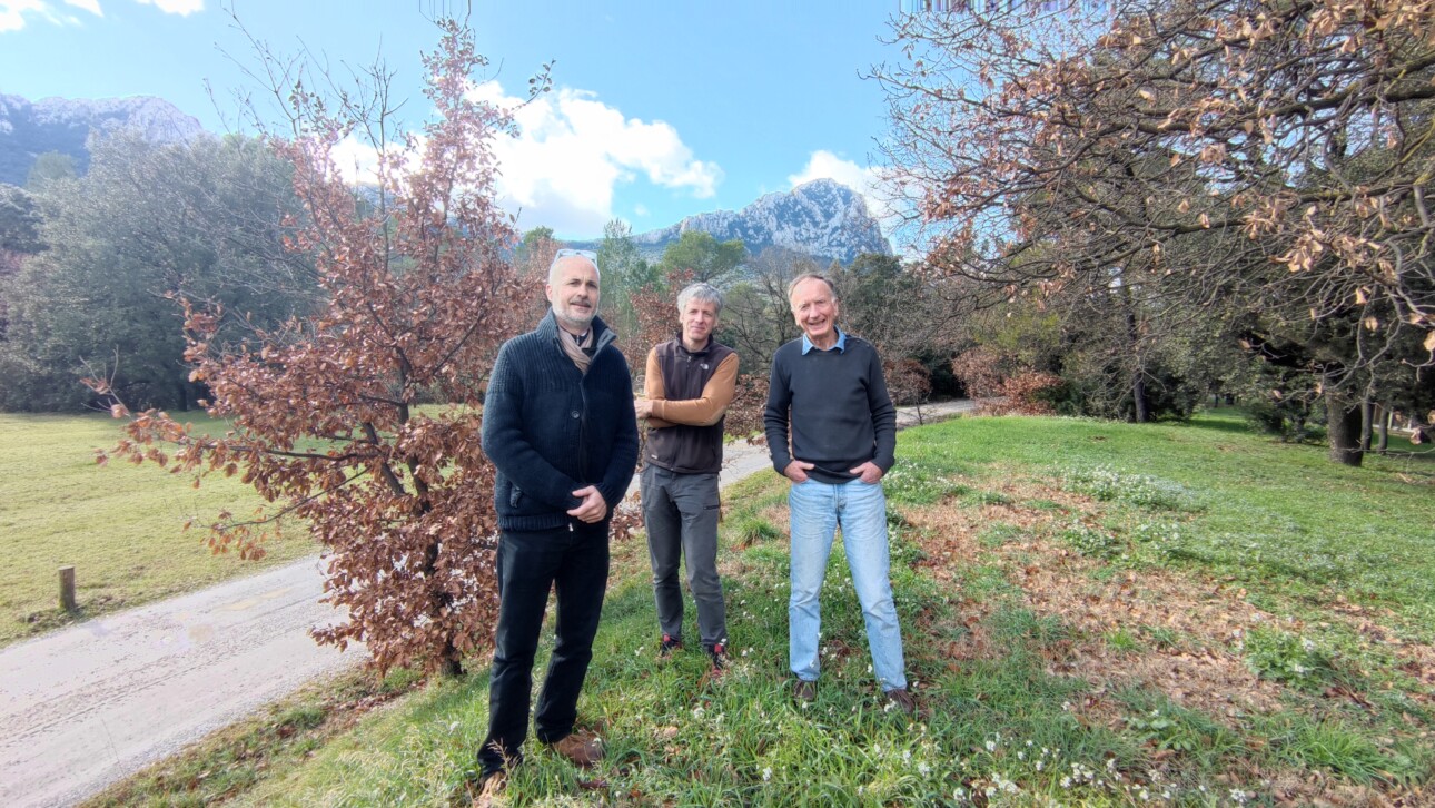 3 hommes dans la nature