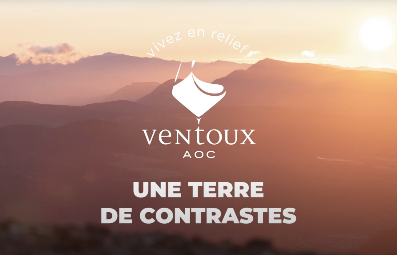 AOC Ventoux : une terre de contrastes